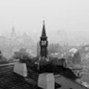 Meet your Posher, Martha